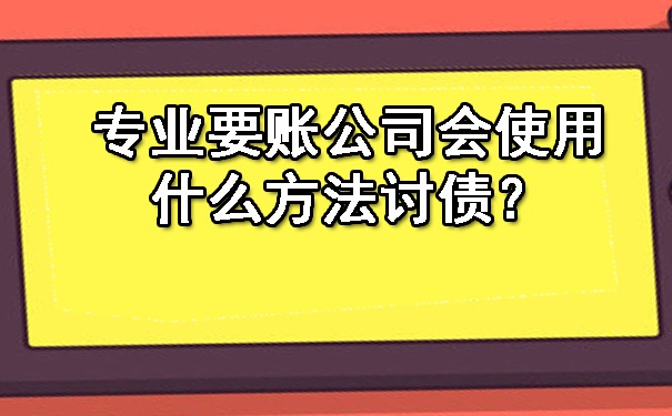 辽宁专业要账公司会使用什么方法讨债？